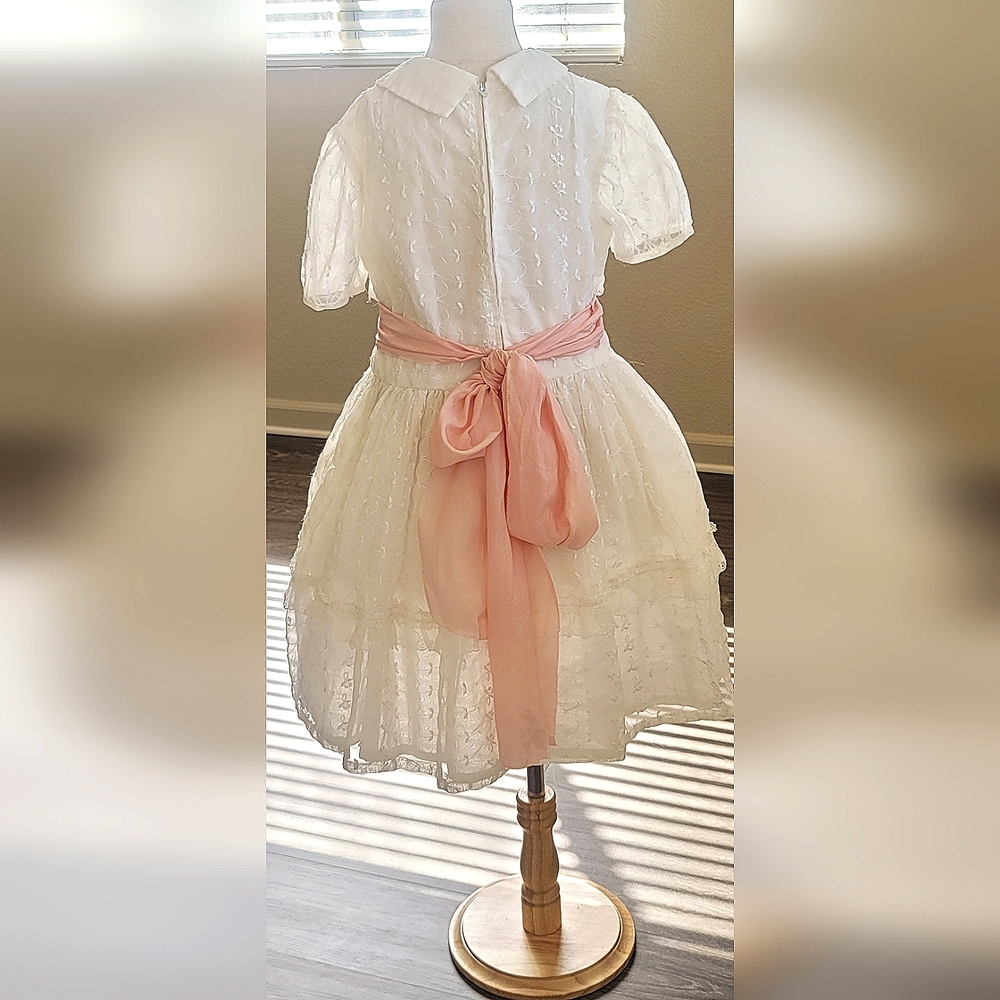 Vintage organza lace dress
